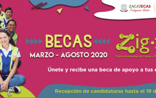 Becas Zigzag Febrero 2020