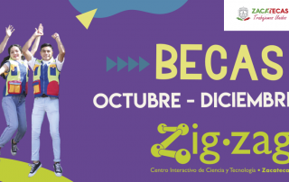 Beca Zigzag Oct-Dic 2020
